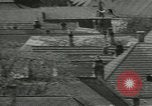 Image of storks Austria, 1957, second 41 stock footage video 65675077122