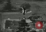Image of storks Austria, 1957, second 44 stock footage video 65675077122