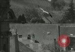 Image of storks Austria, 1957, second 45 stock footage video 65675077122