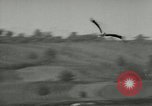 Image of storks Austria, 1957, second 47 stock footage video 65675077122