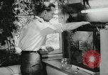 Standbild Actinia Österreich, 1957, aus Sekunde 4 historischem Filmmaterial Videoclip 65675077123