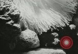 Standbild Actinia Österreich, 1957, aus Sekunde 13 historischem Filmmaterial Videoclip 65675077123