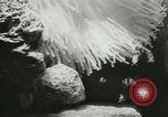 Standbild Actinia Österreich, 1957, aus Sekunde 15 historischem Filmmaterial Videoclip 65675077123