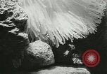 Standbild Actinia Österreich, 1957, aus Sekunde 17 historischem Filmmaterial Videoclip 65675077123