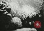 Standbild Actinia Österreich, 1957, aus Sekunde 18 historischem Filmmaterial Videoclip 65675077123
