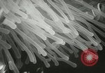Standbild Actinia Österreich, 1957, aus Sekunde 20 historischem Filmmaterial Videoclip 65675077123
