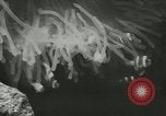 Standbild Actinia Österreich, 1957, aus Sekunde 27 historischem Filmmaterial Videoclip 65675077123
