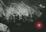 Standbild Actinia Österreich, 1957, aus Sekunde 30 historischem Filmmaterial Videoclip 65675077123
