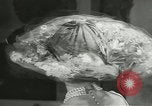 Image of American models United States USA, 1957, second 45 stock footage video 65675077124