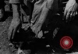 Image of Operation Titanic European Theater, 1944, second 24 stock footage video 65675077128