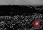 Image of Operation Frantic in Poltava Russia, 1944, second 3 stock footage video 65675077130
