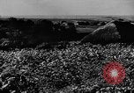Image of Operation Frantic in Poltava Russia, 1944, second 4 stock footage video 65675077130
