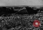 Image of Operation Frantic in Poltava Russia, 1944, second 5 stock footage video 65675077130