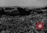 Image of Operation Frantic in Poltava Russia, 1944, second 6 stock footage video 65675077130