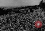 Image of Operation Frantic in Poltava Russia, 1944, second 8 stock footage video 65675077130