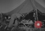 Image of Operation Frantic in Poltava Russia, 1944, second 36 stock footage video 65675077130