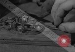 Immagine di Bombardieri americani Teatro europeo, 1944, secondo 6 filmato di repertorio 65675077151
