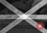 Immagine di Bombardieri americani Teatro europeo, 1944, secondo 15 filmato di repertorio 65675077151
