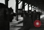 Image of Third Aviation Instruction Center Issoudun France, 1918, second 52 stock footage video 65675077171