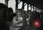 Image of Third Aviation Instruction Center Issoudun France, 1918, second 57 stock footage video 65675077171