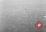 Immagine di L approdo delle barche United States USA, 1944, secondo 17 filmato di repertorio 65675077222