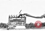 Image of 8th Photographic Reconnaissance Squadron Australia, 1943, second 4 stock footage video 65675077227