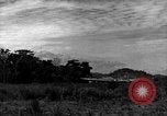 Image of 8th Photographic Reconnaissance Squadron Australia, 1943, second 9 stock footage video 65675077227