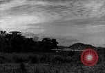 Image of 8th Photographic Reconnaissance Squadron Australia, 1943, second 10 stock footage video 65675077227