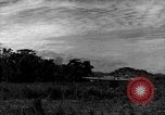 Image of 8th Photographic Reconnaissance Squadron Australia, 1943, second 15 stock footage video 65675077227