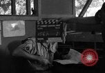 Image of 8th Photographic Reconnaissance Squadron Australia, 1943, second 55 stock footage video 65675077228