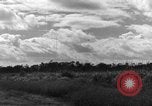 Image of 8th Photographic Reconnaissance Squadron Australia, 1943, second 54 stock footage video 65675077230