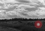 Image of 8th Photographic Reconnaissance Squadron Australia, 1943, second 55 stock footage video 65675077230