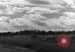 Image of 8th Photographic Reconnaissance Squadron Australia, 1943, second 56 stock footage video 65675077230