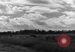 Image of 8th Photographic Reconnaissance Squadron Australia, 1943, second 60 stock footage video 65675077230