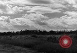 Image of 8th Photographic Reconnaissance Squadron Australia, 1943, second 61 stock footage video 65675077230