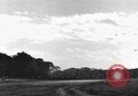 Image of 8th Photographic Reconnaissance Squadron Australia, 1943, second 38 stock footage video 65675077231