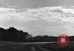 Image of 8th Photographic Reconnaissance Squadron Australia, 1943, second 39 stock footage video 65675077231
