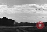 Image of 8th Photographic Reconnaissance Squadron Australia, 1943, second 40 stock footage video 65675077231