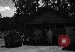 Standbild 8 fotografische Reconnaissance Squadron Australien, 1943, aus Sekunde 29 historischem Filmmaterial Videoclip 65675077232
