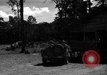 Standbild 8 fotografische Reconnaissance Squadron Australien, 1943, aus Sekunde 38 historischem Filmmaterial Videoclip 65675077232