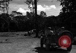 Standbild 8 fotografische Reconnaissance Squadron Australien, 1943, aus Sekunde 44 historischem Filmmaterial Videoclip 65675077232