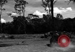 Standbild 8 fotografische Reconnaissance Squadron Australien, 1943, aus Sekunde 46 historischem Filmmaterial Videoclip 65675077232