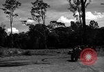 Standbild 8 fotografische Reconnaissance Squadron Australien, 1943, aus Sekunde 47 historischem Filmmaterial Videoclip 65675077232