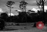 Standbild 8 fotografische Reconnaissance Squadron Australien, 1943, aus Sekunde 48 historischem Filmmaterial Videoclip 65675077232
