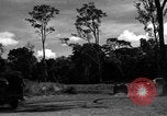 Standbild 8 fotografische Reconnaissance Squadron Australien, 1943, aus Sekunde 50 historischem Filmmaterial Videoclip 65675077232