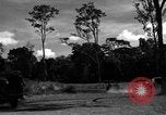 Standbild 8 fotografische Reconnaissance Squadron Australien, 1943, aus Sekunde 52 historischem Filmmaterial Videoclip 65675077232