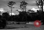 Standbild 8 fotografische Reconnaissance Squadron Australien, 1943, aus Sekunde 53 historischem Filmmaterial Videoclip 65675077232