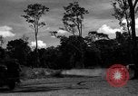 Standbild 8 fotografische Reconnaissance Squadron Australien, 1943, aus Sekunde 56 historischem Filmmaterial Videoclip 65675077232