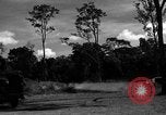 Standbild 8 fotografische Reconnaissance Squadron Australien, 1943, aus Sekunde 57 historischem Filmmaterial Videoclip 65675077232