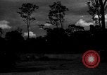 Standbild 8 fotografische Reconnaissance Squadron Australien, 1943, aus Sekunde 59 historischem Filmmaterial Videoclip 65675077232